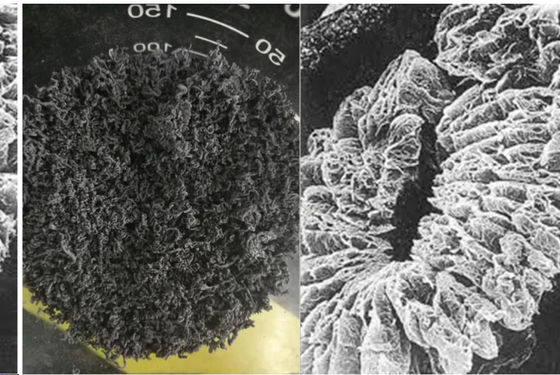 +100 Mesh উচ্চ কার্বন প্রসারিত গ্রাফাইট