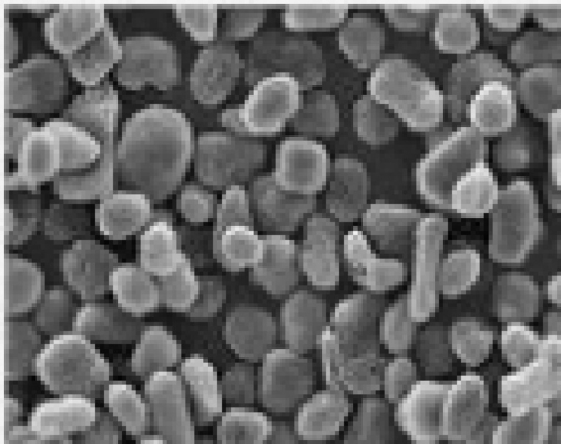 99.97% কার্বন সামগ্রী 21um এবং 13ppm Fe প্রাকৃতিক অ্যানোড উপাদান গোলাকার গ্রাফাইট